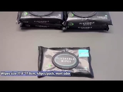 Logo tùy chỉnh Máy rửa ẩm cho người lớn với vitamin E & Aloe Septic And Sewer Safe